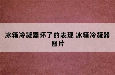 冰箱冷凝器坏了的表现 冰箱冷凝器图片